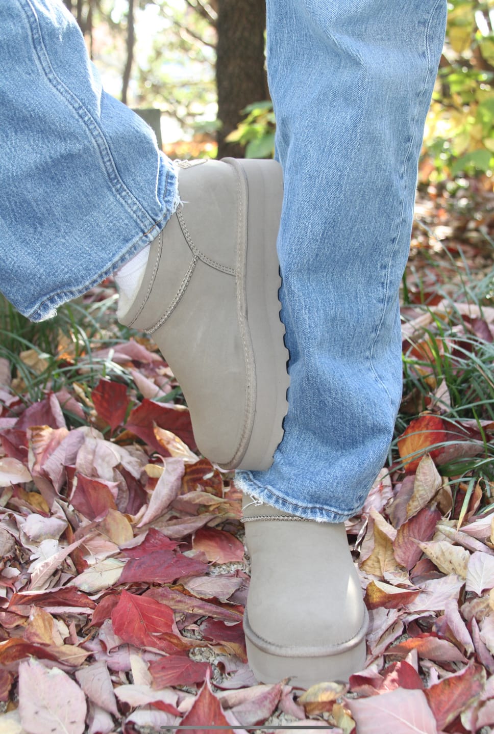 Customer photo review of RETRO SUPER SHORTY MUSHROOM