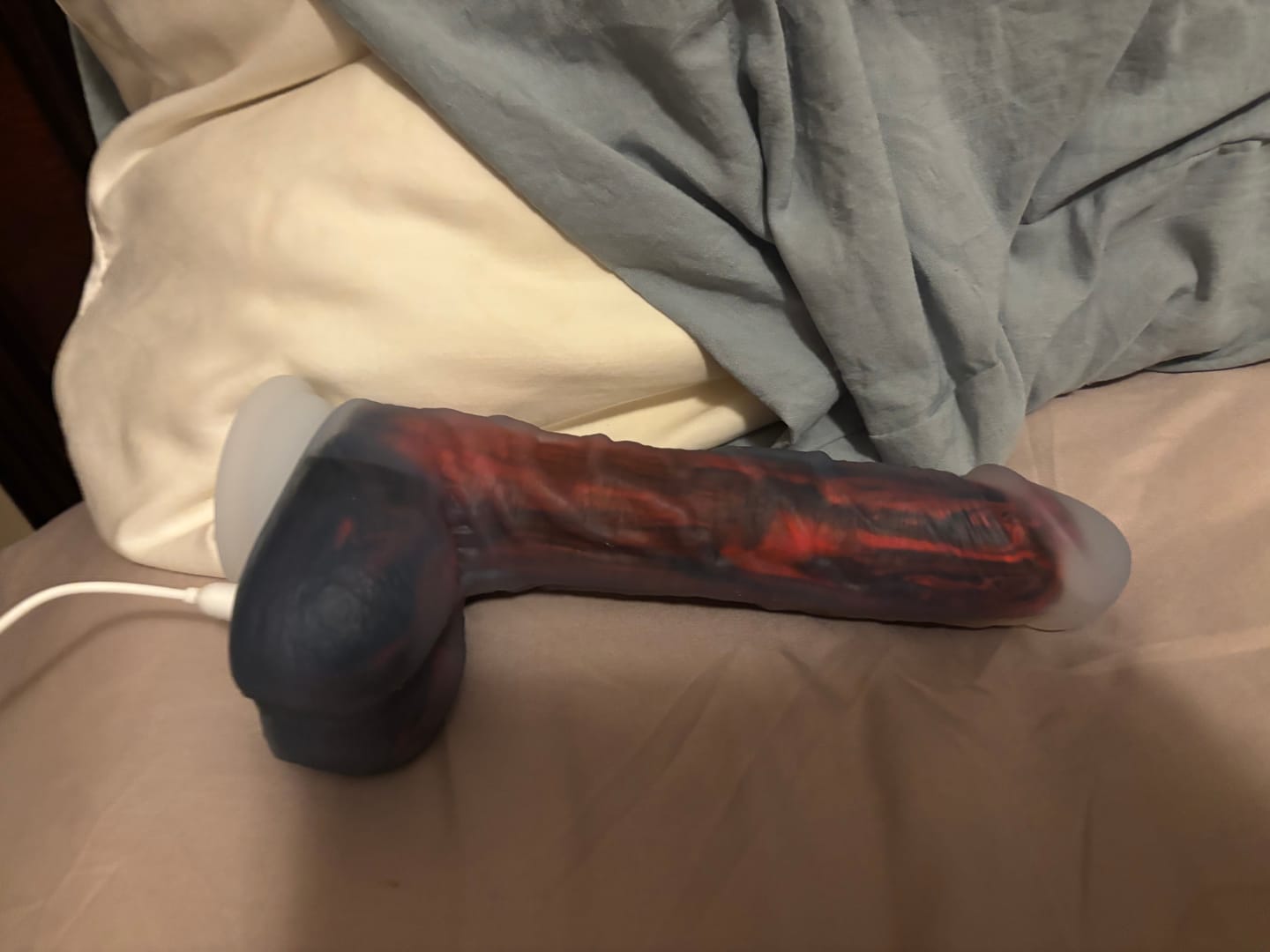 Customer photo review of NOCTURA × SCIONESS