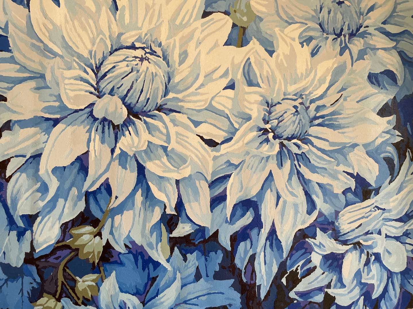 Customer photo review of Azure Chrysanthemums