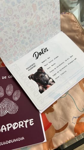 Customer photo review of Pasaporte Para Mascotas