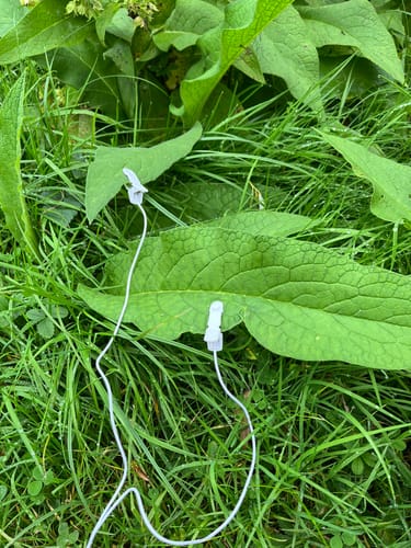 Customer photo review of PlantWave