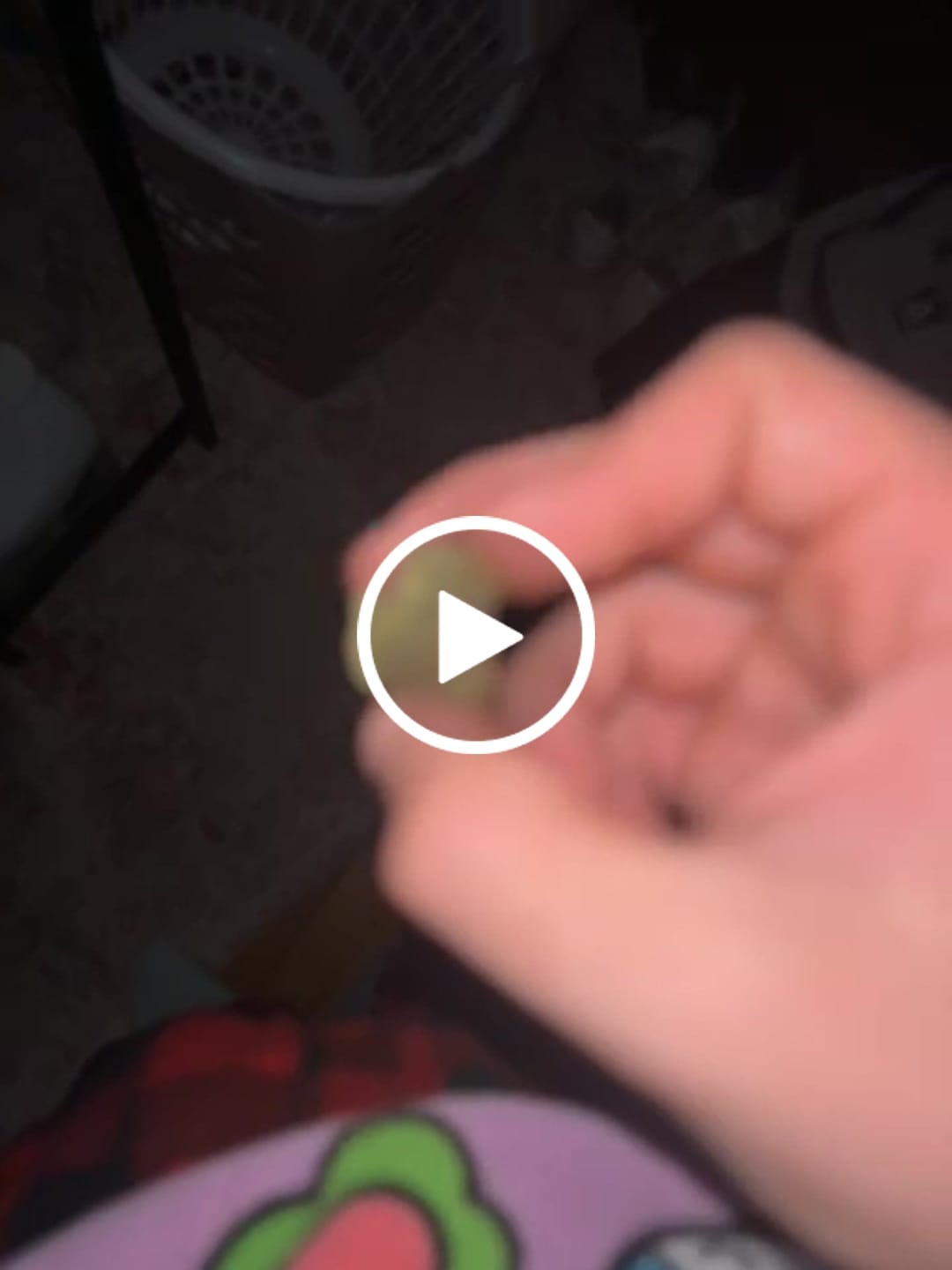 Customer video review of Sour Diesel - THCa Flower