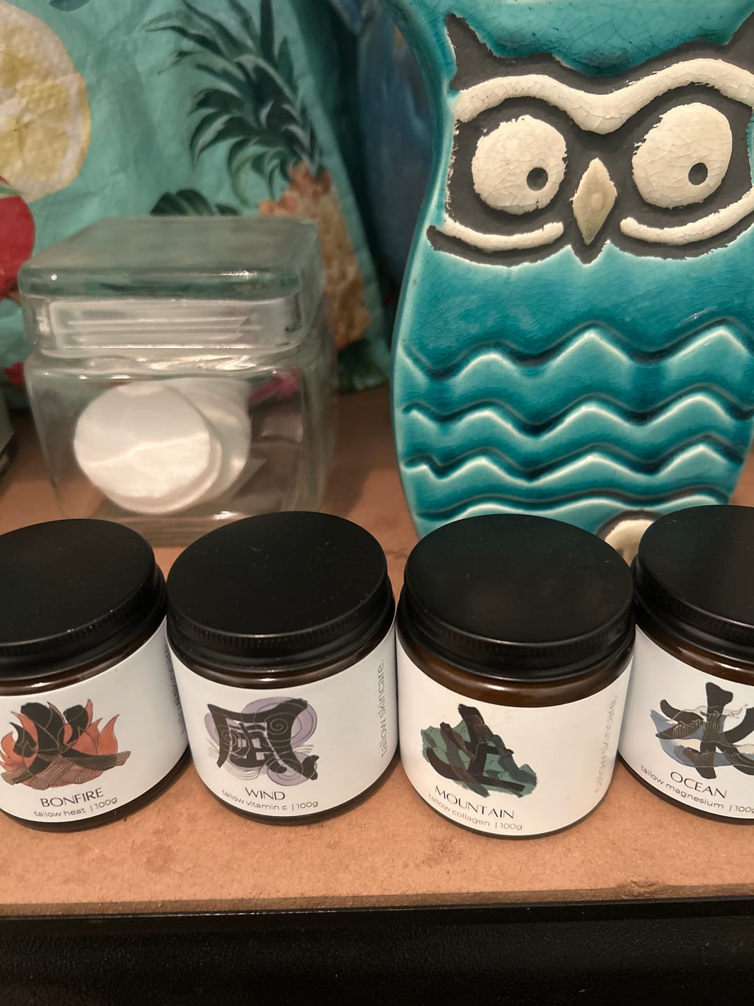 Customer photo review of The Four Elements
