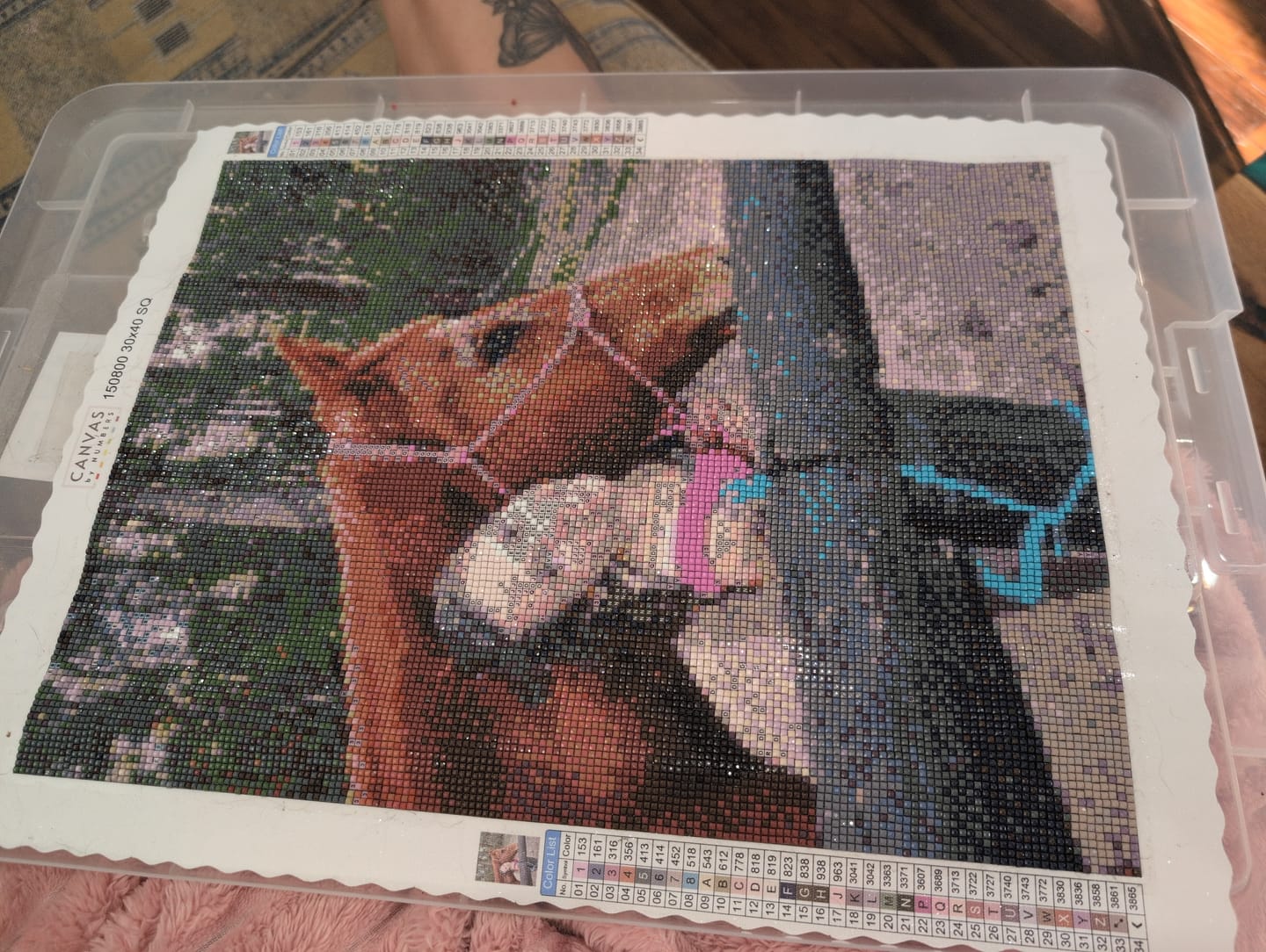 Customer photo review of Custom Diamond Painting