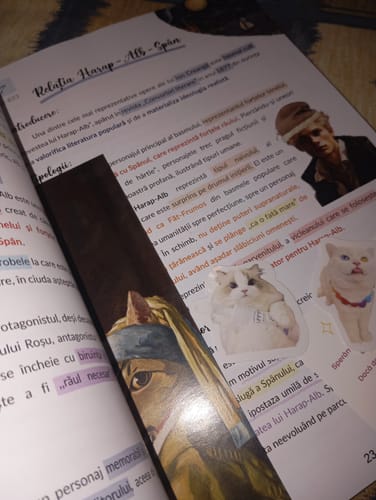 Recenzie cu fotografie de la un client despre Carte Română Bacalaureat Bacademia (temă și viziune, caracterizare, relație) - Ediția II