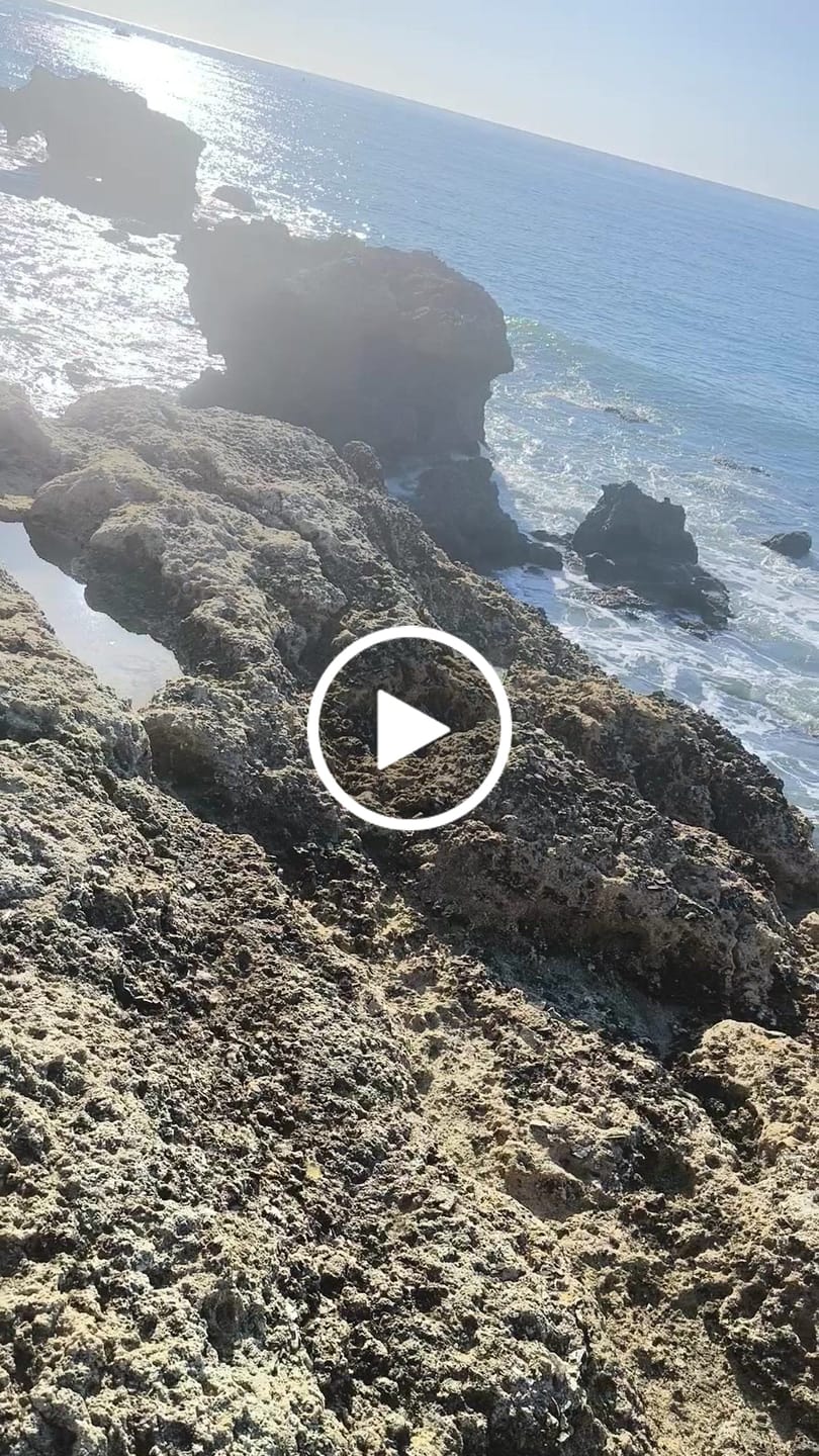 Customer video review of Fast Ⅰ Aqua - Barefoot Water Shoes