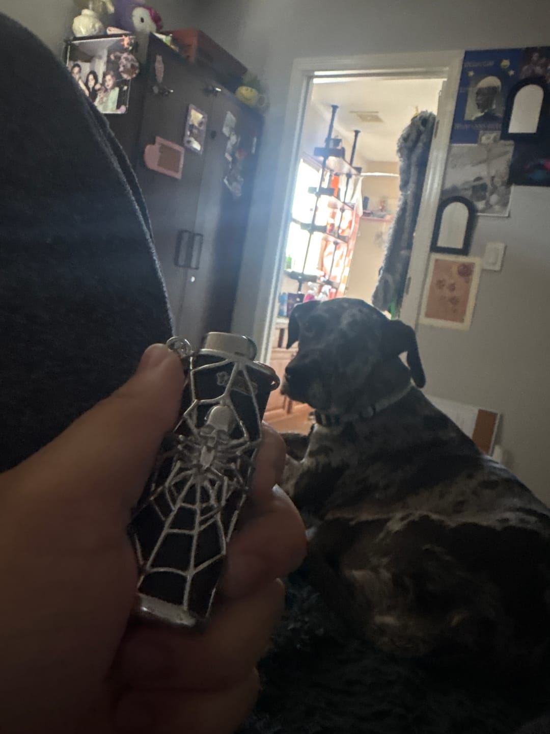 Customer photo review of SPIDER LIGHTER CASE