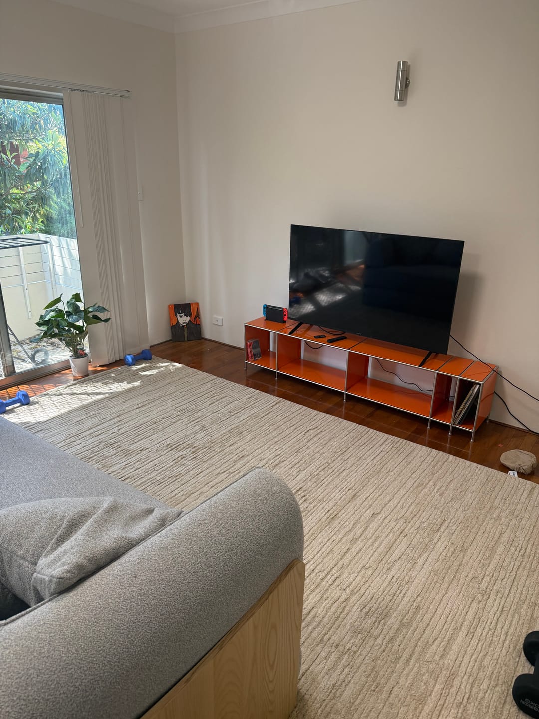 Customer photo review of VL-8