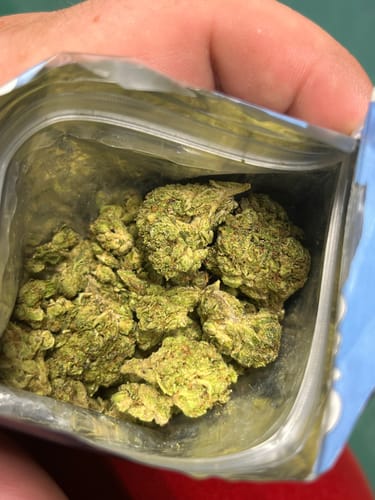 Customer photo review of Skunk Junction