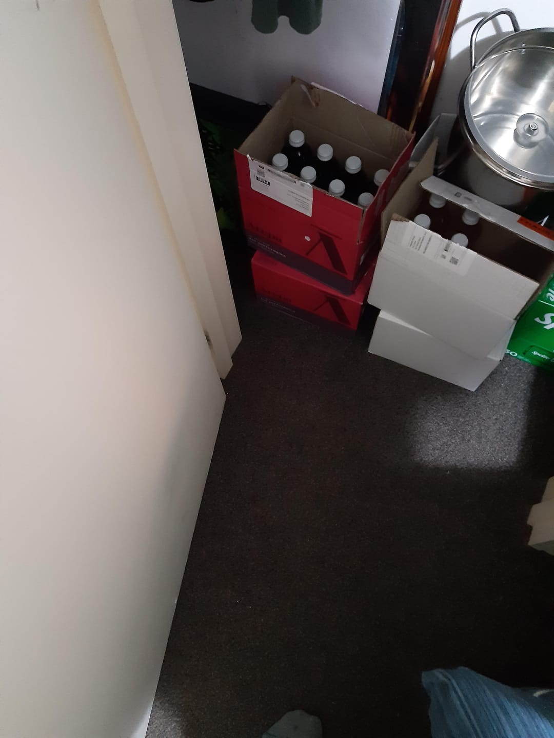 Customer photo review of The Brain Drink for Performance (300ml)⁺