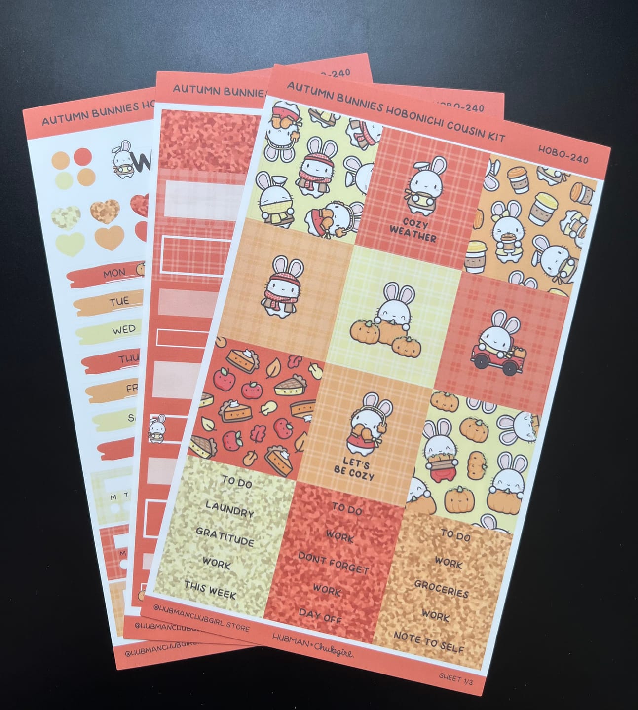 Customer photo review of Autumn Bunnies Theme Hobonichi Cousin Weekly Kit (Set of 3)