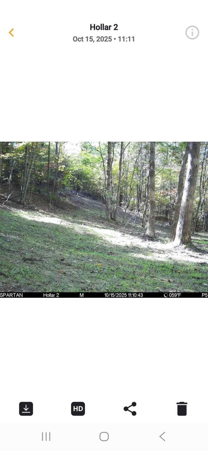 Customer photo review of Antler IV Mineral Attractant