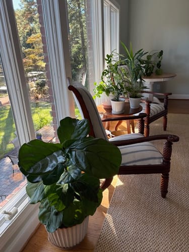 Tabitha M. review of Plant Food image 1 out of 1