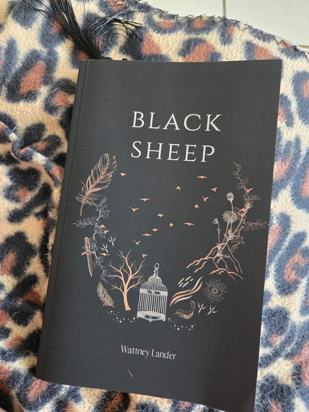 Customer photo review of Black Sheep