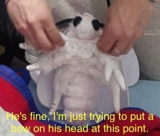 Customer photo review of Fall Webworm Moth Soft Stuffed Plush Toy