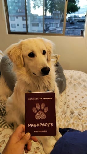 Customer photo review of Pasaporte Para Mascotas