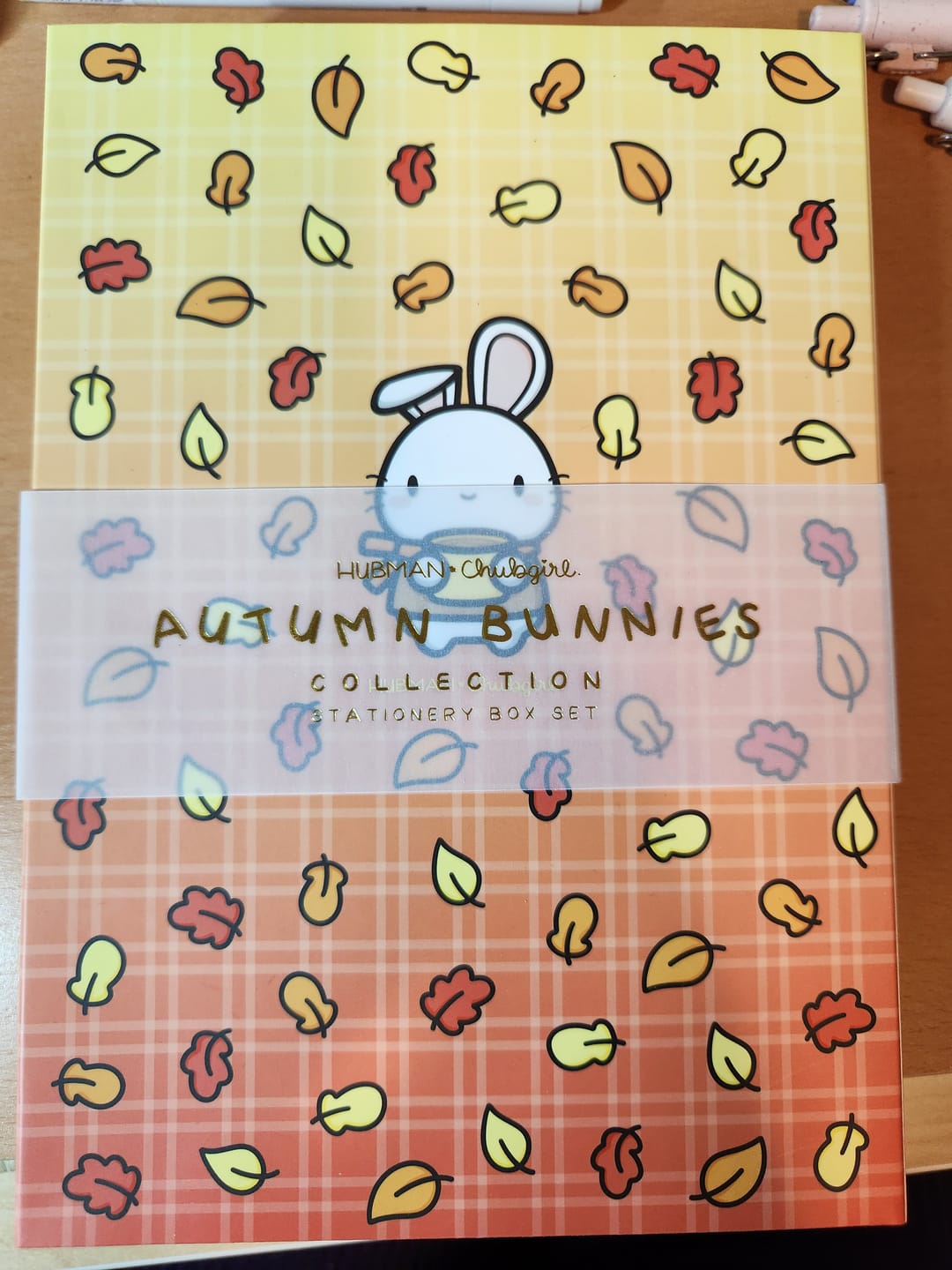 Customer photo review of Autumn Bunnies Box Set