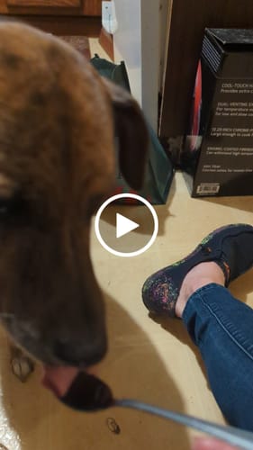 Customer video review of 🐾 K9 Honey – Allergy Relief Formula