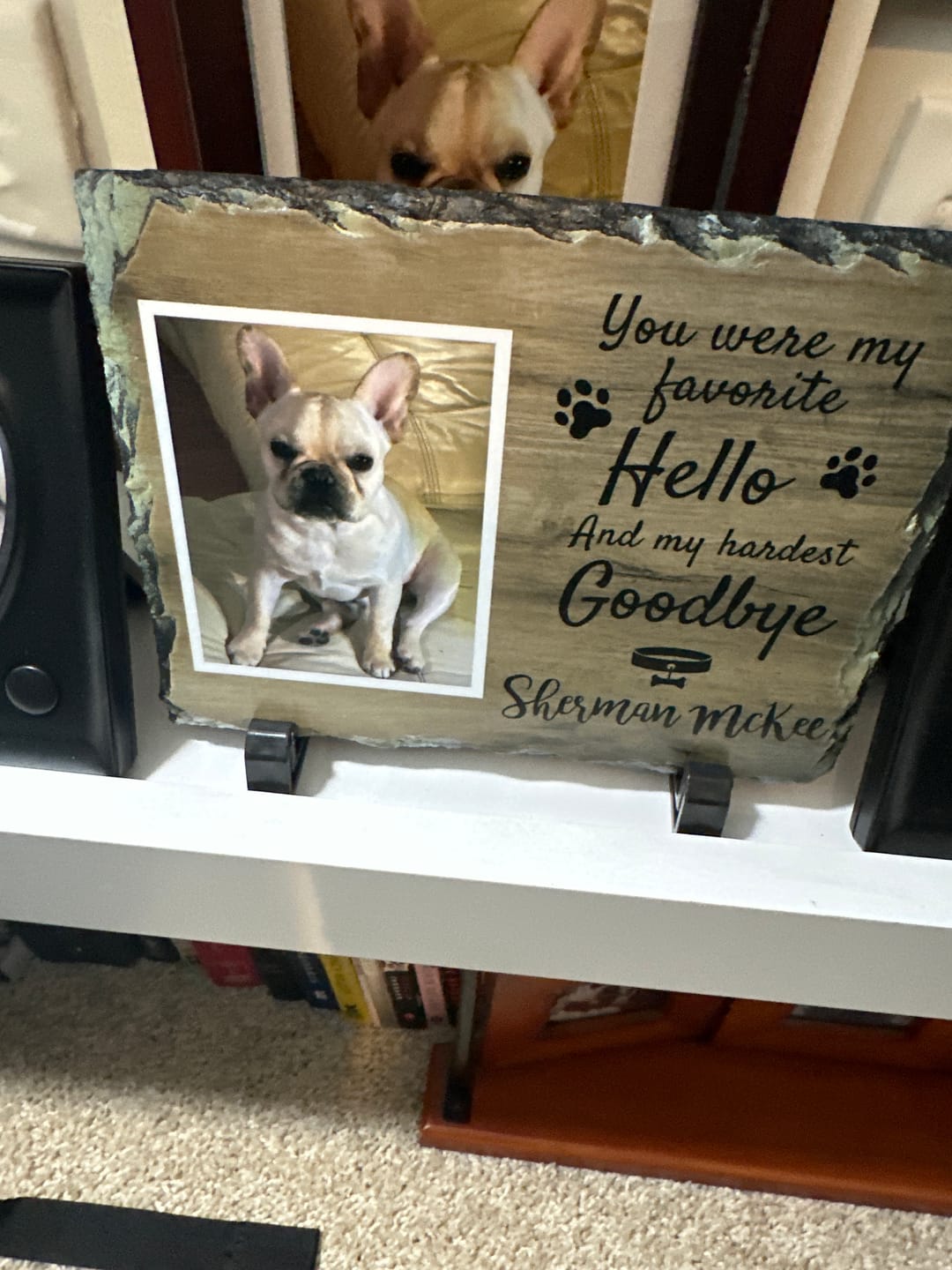 Customer photo review of Personalized Dog Memorial Plaque   You Were My Favorite Hello and My Hardest Goodbye  Personalized Picture Keepsake