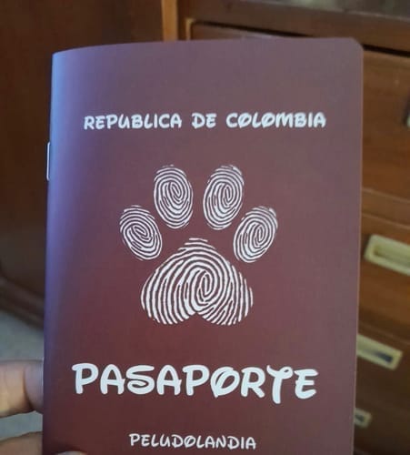 Customer photo review of Pasaporte Para Mascotas