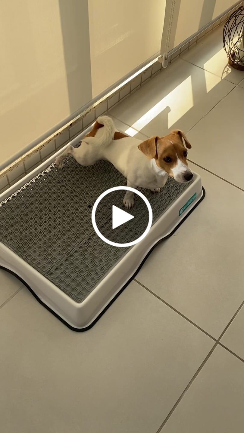 Customer video review of Tapete de Reposição