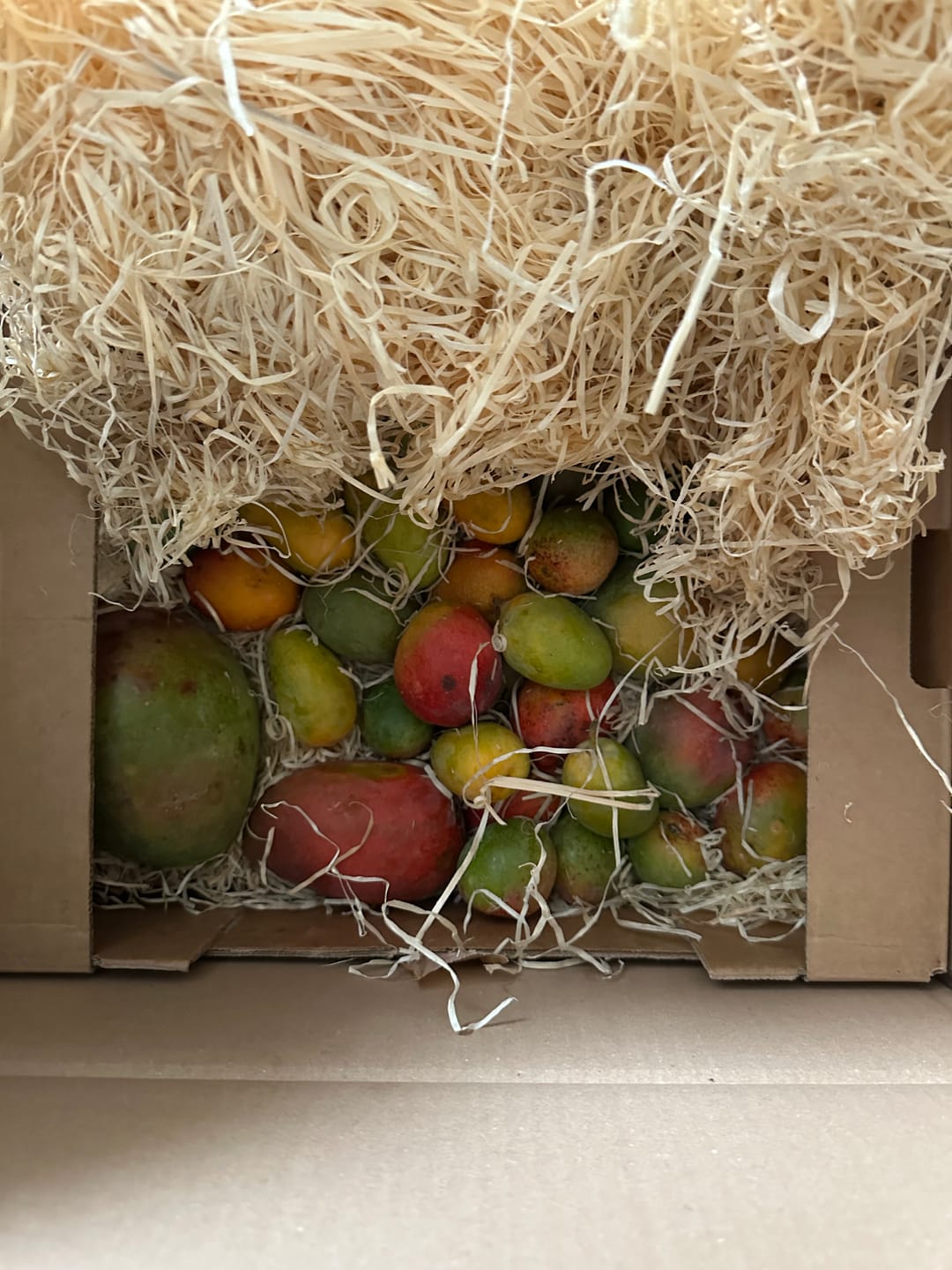 Customer photo review of Mango "Alte Sorten" Mix von Antonio 3kg