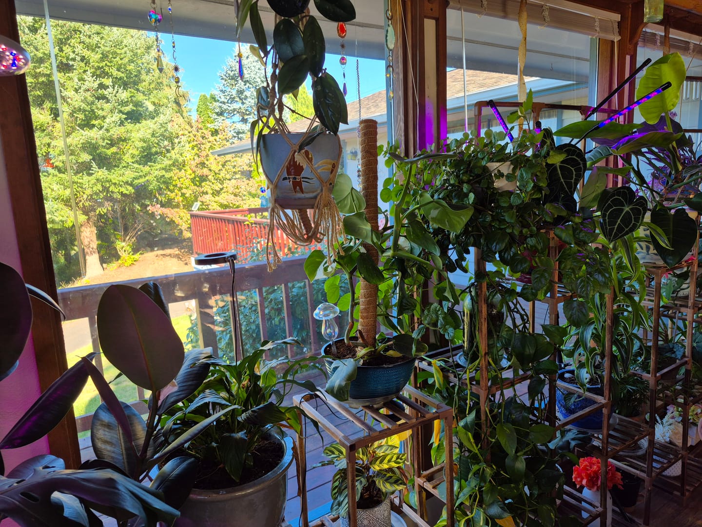 Customer photo review of Elm Power Bundle
