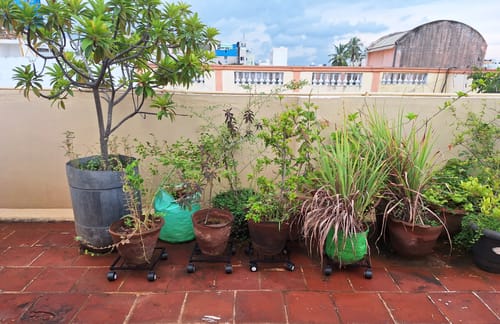 Customer photo review of United Crafts Rozy Wheel Pot Stands for Planters