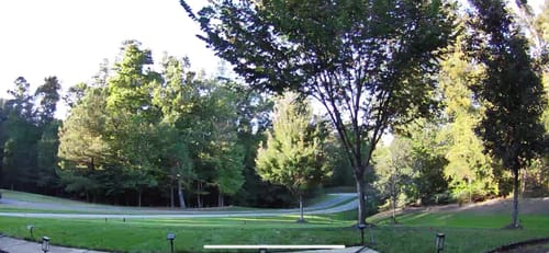 Customer photo review of GCI Turf Spreader Elite Grass Seed