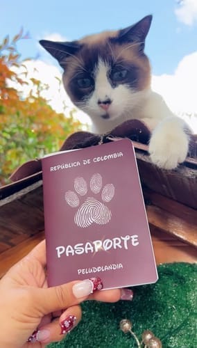 Customer photo review of Pasaporte Para Mascotas