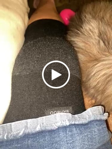 Customer video review of Premium Bamboo Knee Sleeve (Single)