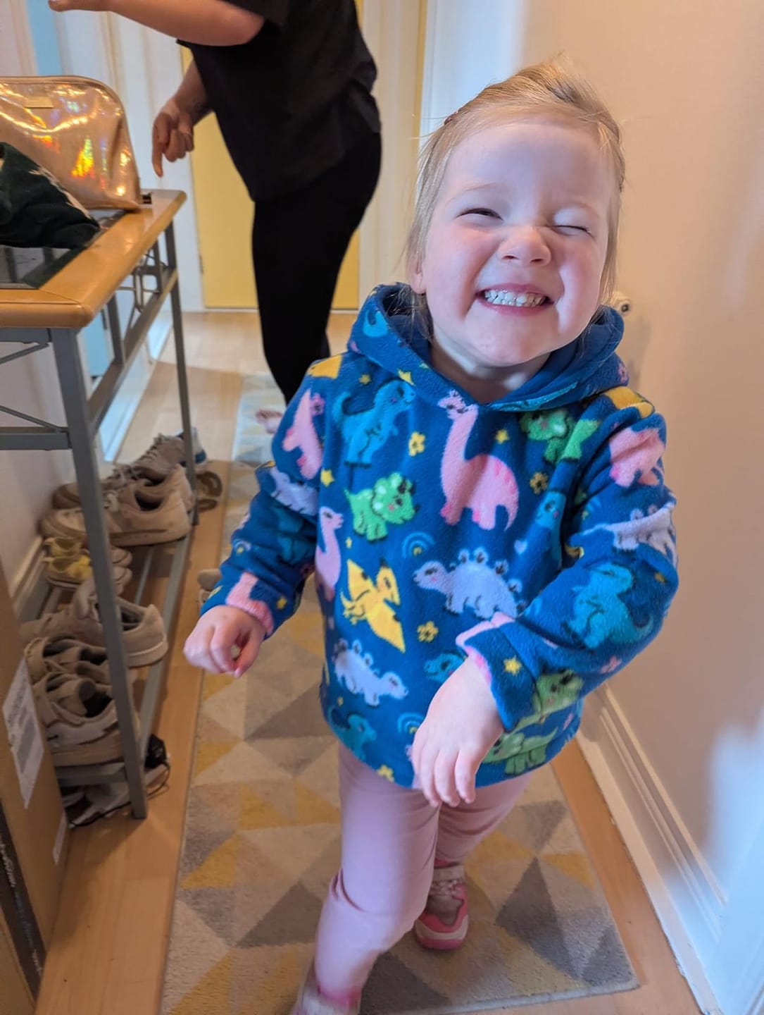 Customer photo review of Dinosaur Land Anti Pill Polar Fleece Fabric