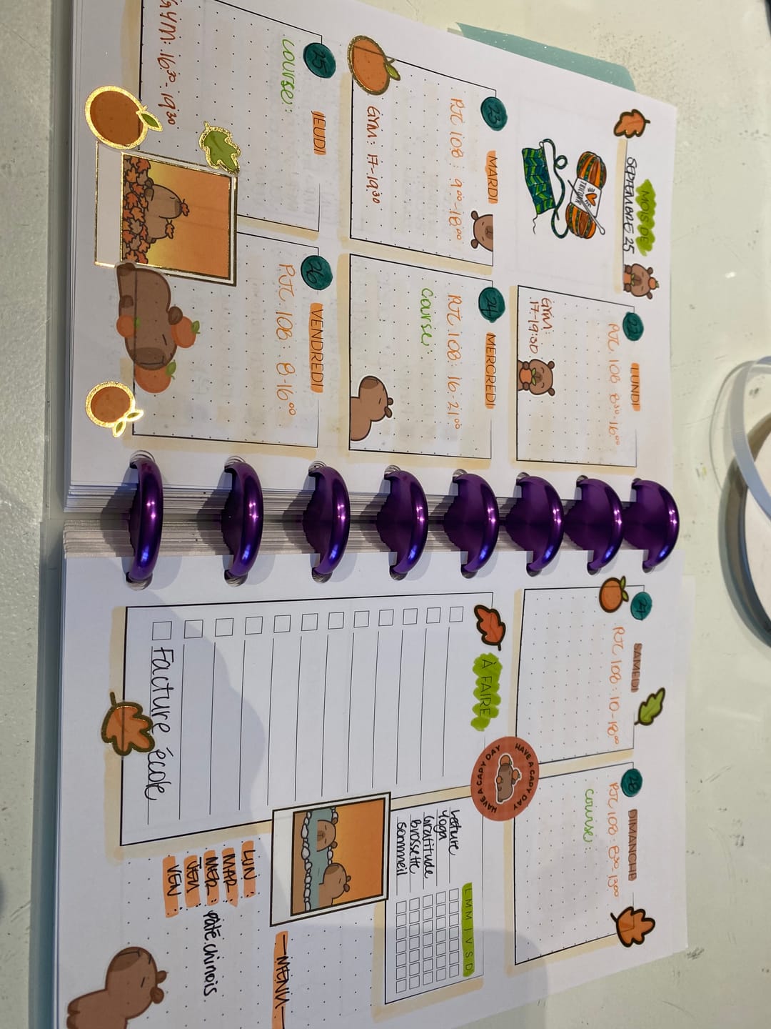 Customer photo review of Autumn Capybaras Variety Sticker Pack