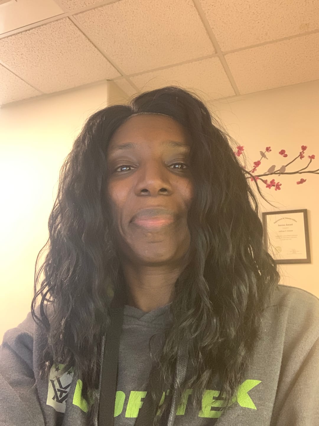 Customer photo review of Vivica A Fox Deep Lace Front Wig - ORLANDO-V