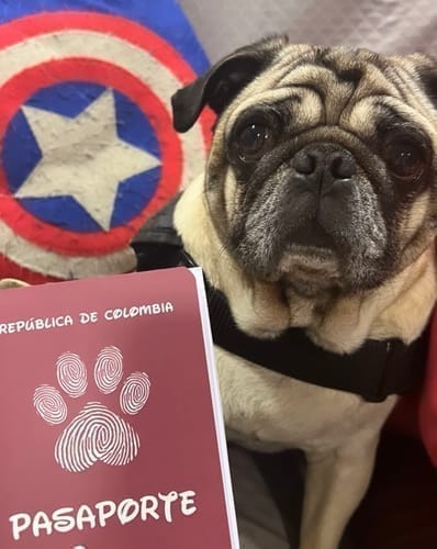 Customer photo review of Pasaporte Para Mascotas