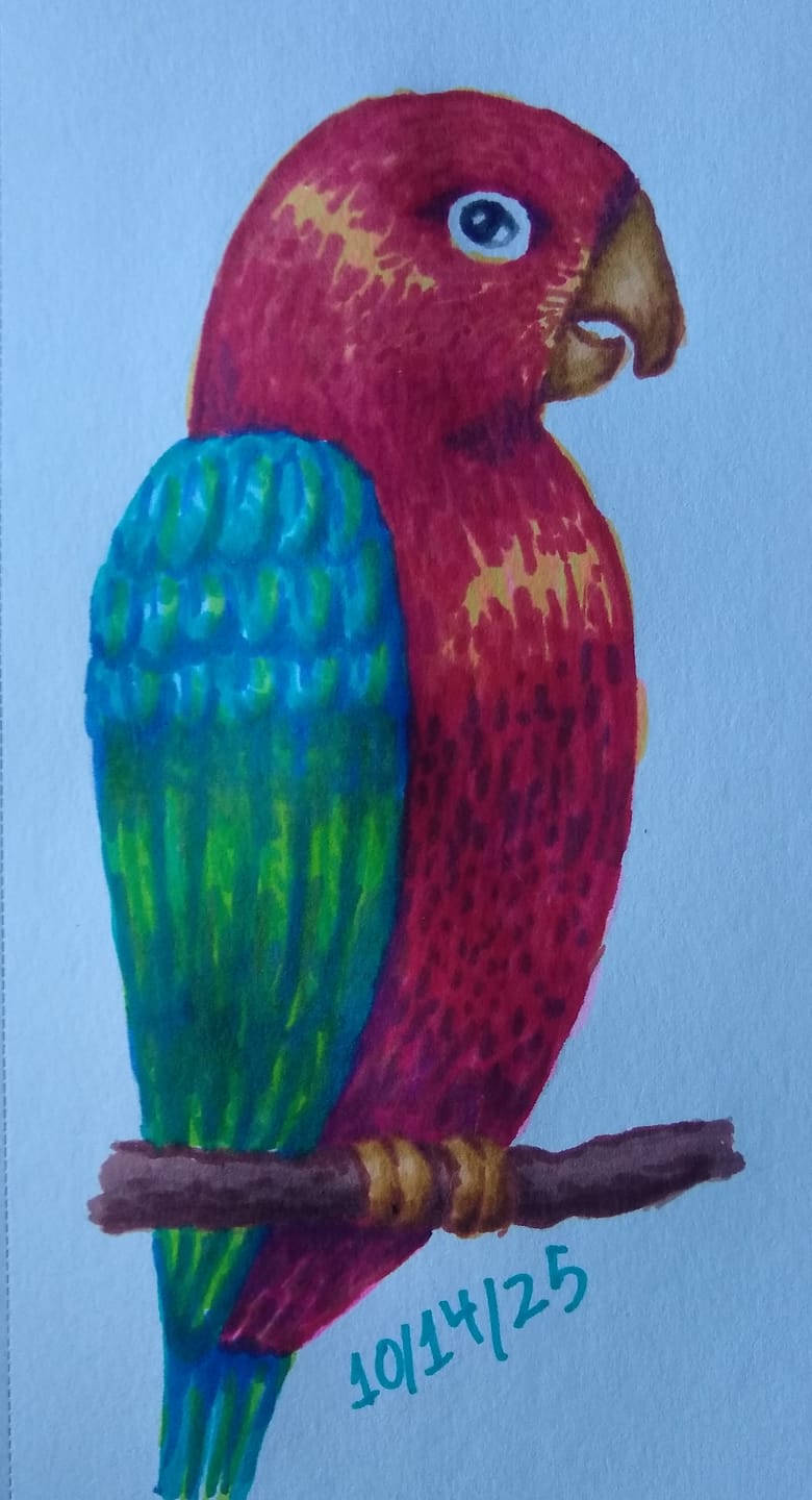 Customer photo review of Ohuhu Paper-friendly (No Peeling) Markers Water-based 60 Colors
