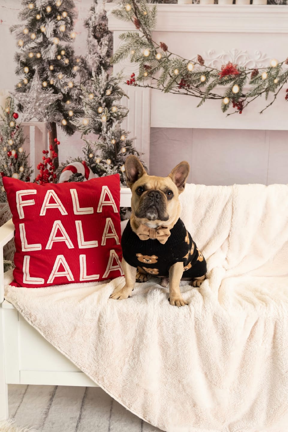 Customer photo review of Christmas Knit Dog Sweater