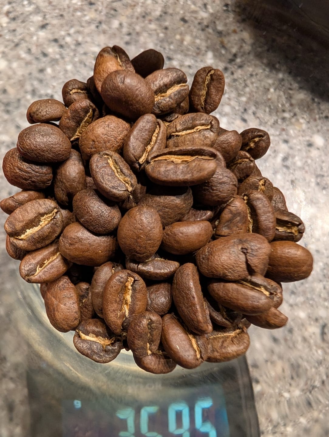 Customer photo review of LOKI - Ethiopian Yirgacheffe - Light Roast