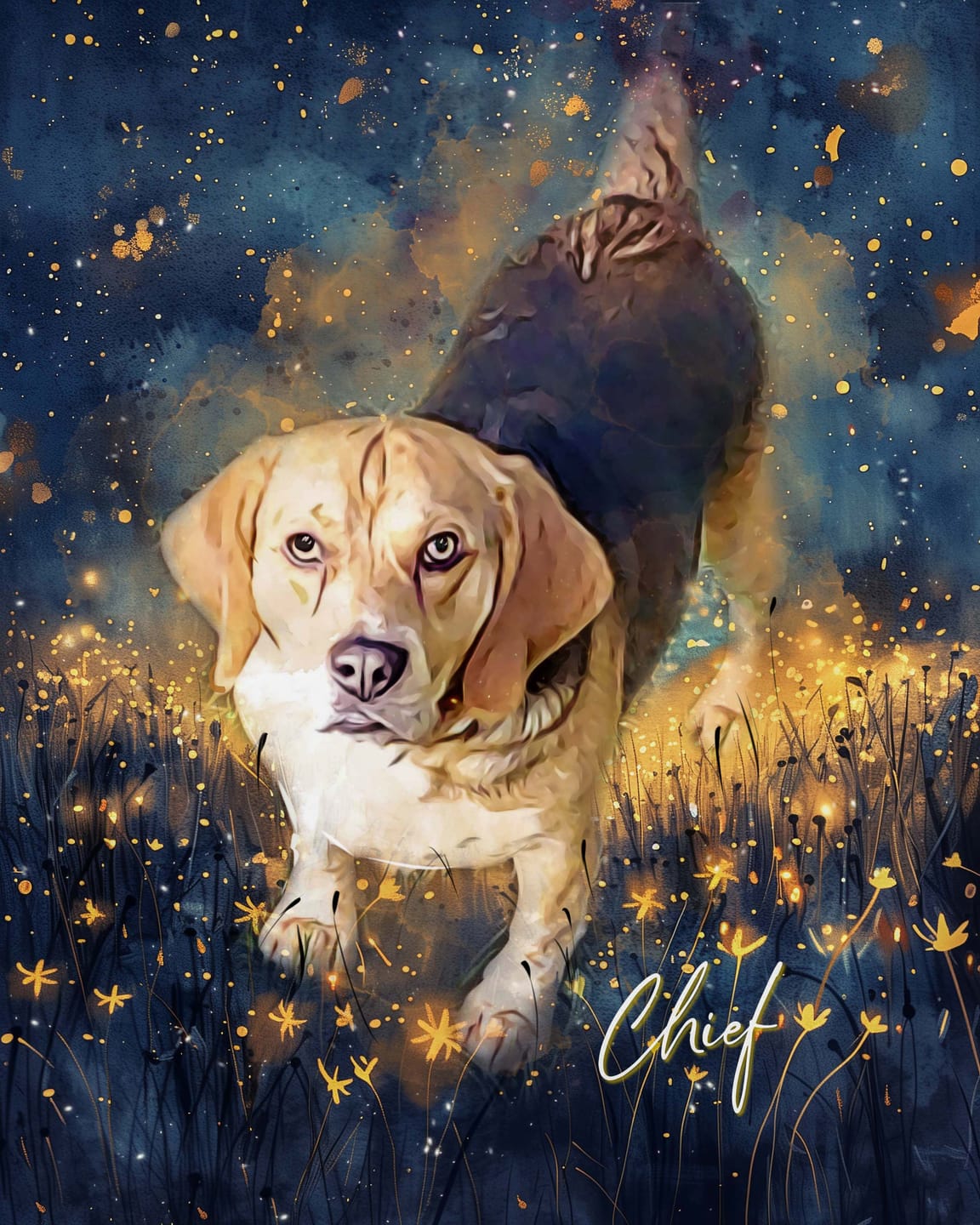 Customer photo review of The Celestial