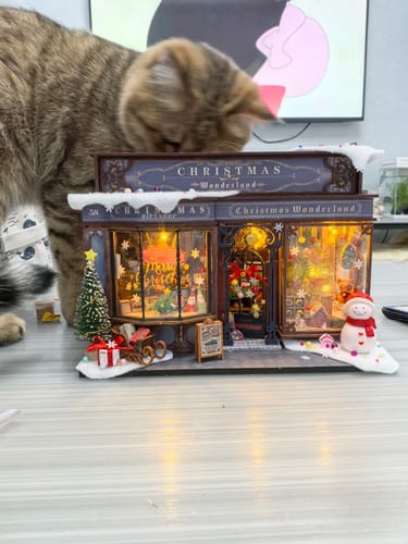 Customer photo review of Christmas Wonderland DIY Miniature Dollhouse Kit