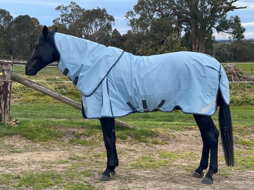 Customer photo review of LE Boxter Turnout 0g