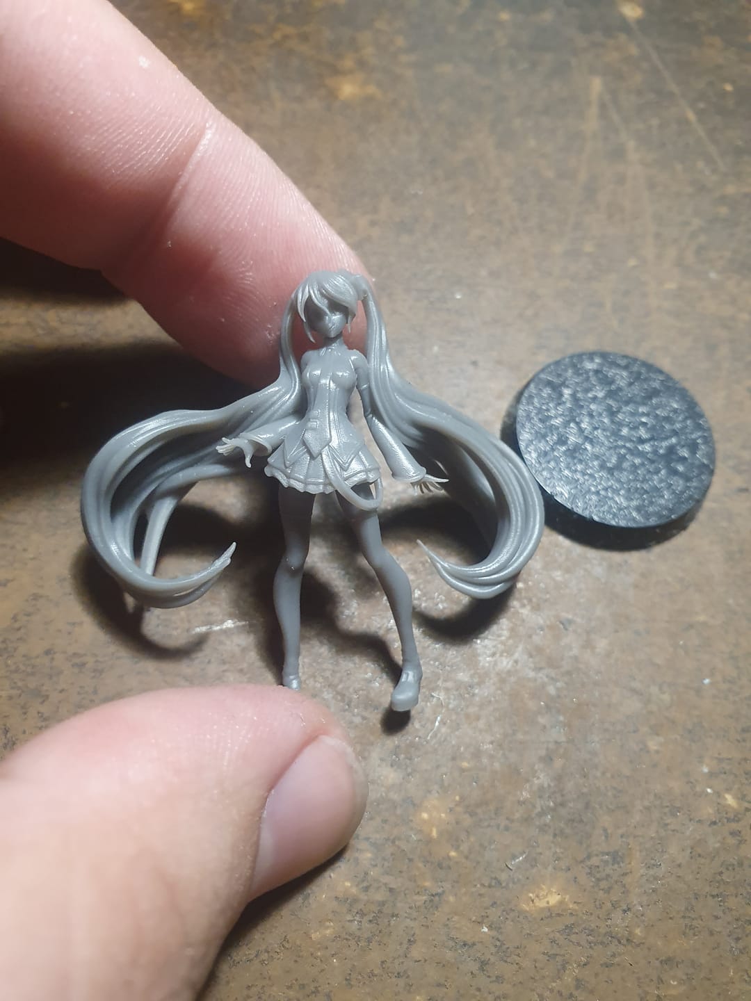 Customer photo review of Miku Hatsune - Volcaloid