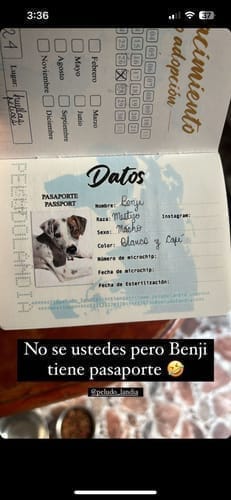 Customer photo review of Pasaporte Para Mascotas
