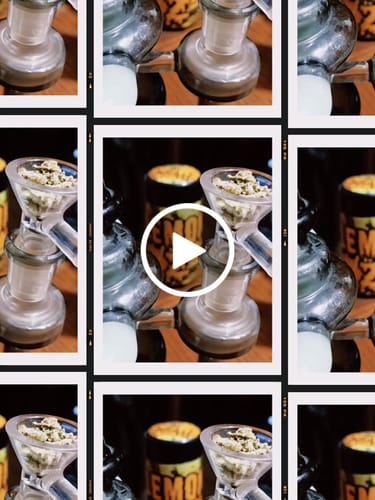 Customer video review of Pine Park Alien Invasion Classic Flower