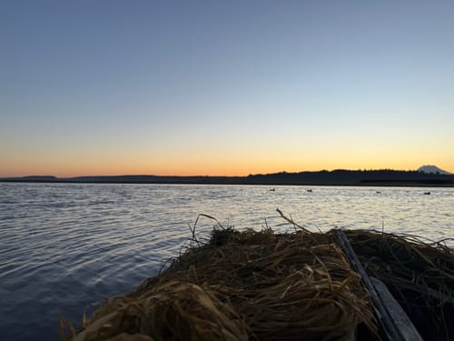 Customer photo review of Hunting Blind Raffia Grass (Pack)