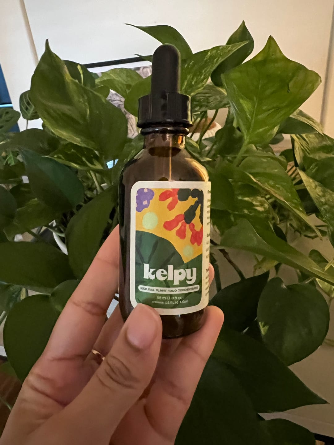 Customer photo review of Kelpy Food for Plants