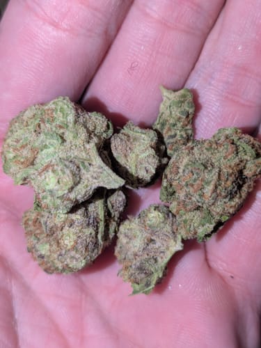 Customer photo review of Blackberry Kush - 28 Grams Littles - Indica