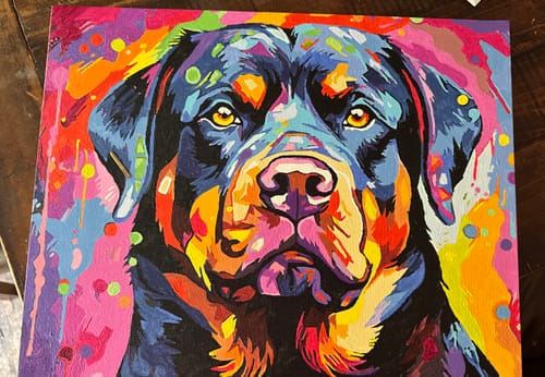 Customer photo review of Colorful Rotweiller Composition