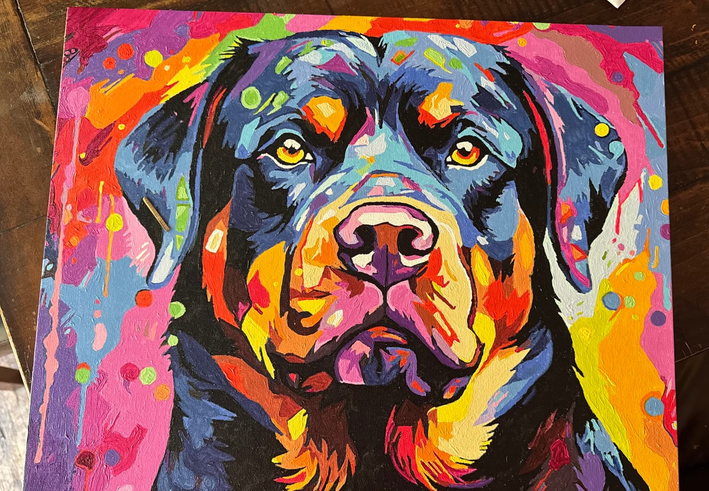 Customer photo review of Colorful Rotweiller Composition