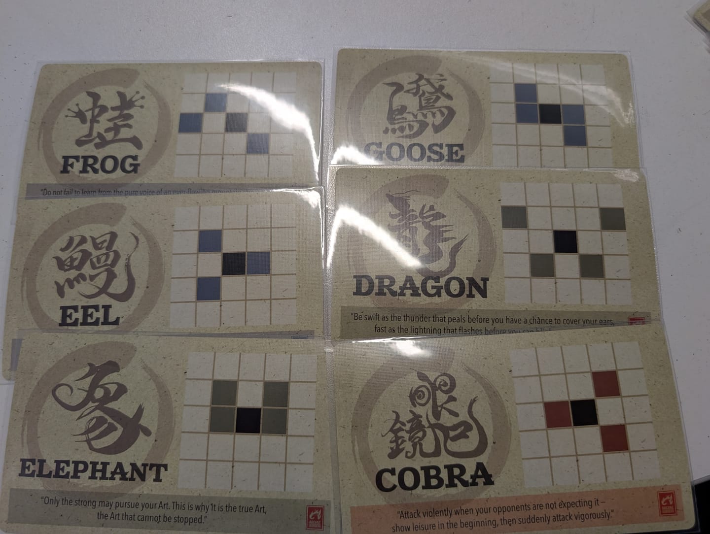 Customer photo review of Clear Matte Tarot Card Sleeves